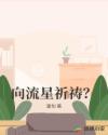 向流星祈禱？