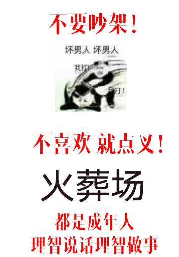 帶球跑後前夫火葬場了