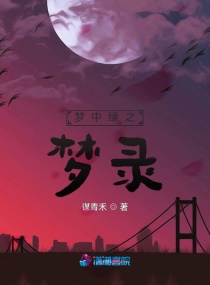 前緣夢錄