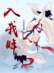 入我眸 入我眸
