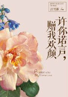 許你諾言,贈我歡顏 許你諾言,贈我歡顏