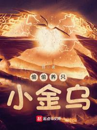 偷偷養隻小金烏杜愚