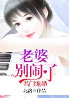 名門寵婚：老婆別鬧了
