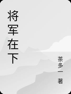 將軍在下