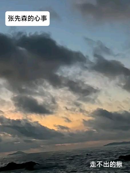 張先森的心事