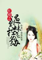 紅樓之遇到妹控怎麽辦？