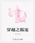 穿越之狐寵