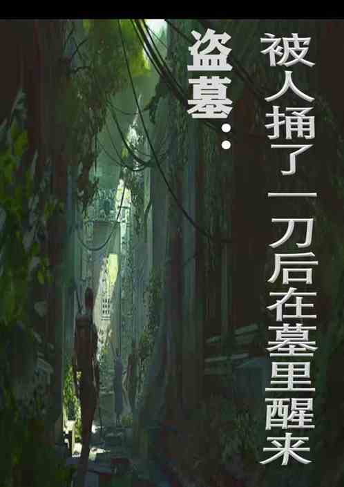 盜墓：被人捅了一刀後在墓裏醒來