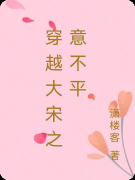 穿越大宋之意不平 穿越大宋之意不平