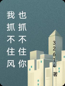 我抓不住風也抓不住你