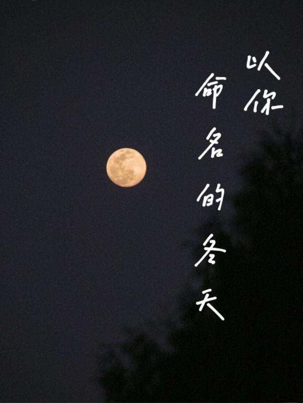 以你命名的冬天 以你命名的冬天