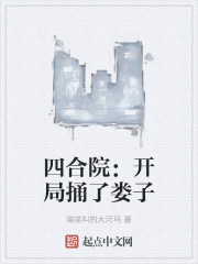 四合院:開局捅了婁子 四合院:開局捅了婁子