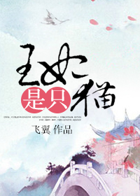 王妃是隻貓 王妃是隻貓