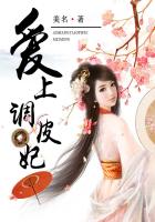愛上調皮妃