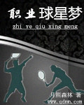 職業球星夢