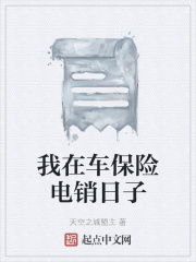 我在車保險電銷日子