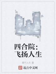 四合院：飛揚人生