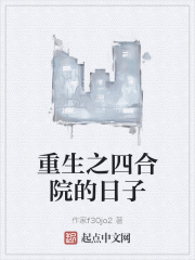 重生之四合院的日子