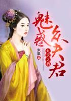 九天之後：魅惑眾夫君