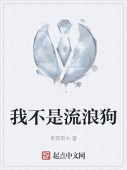 我不是流浪狗