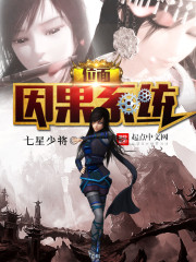 位麵因果係統 位麵因果係統