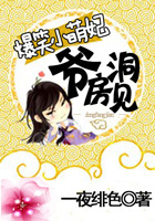 爆笑小萌妃：爺，洞房見