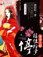 寵妻上癮:狼性邪帝,停! 寵妻上癮:狼性邪帝,停!