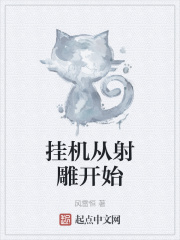 掛機從射雕開始