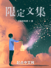 限定文集