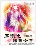 網遊之暗夜女王 網遊之暗夜女王