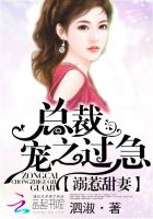 溺惹甜妻:總裁寵之過急 溺惹甜妻:總裁寵之過急