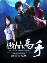 極品高手 極品高手