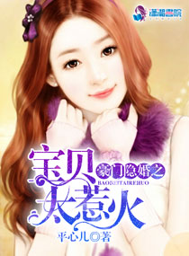 豪門隱婚之寶貝太惹火 豪門隱婚之寶貝太惹火