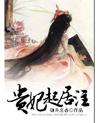 貴妃起居注 貴妃起居注