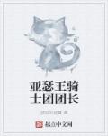 亞瑟王騎士團團長