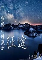 寵物小精靈之征途 寵物小精靈之征途