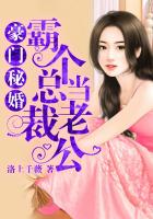 豪門秘婚：霸個總裁當老公