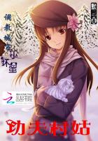 功夫村姑：調教城裏小壞蛋