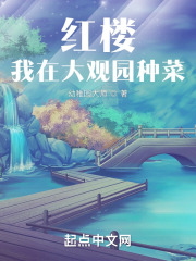 紅樓：我在大觀園種菜