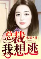 總裁我想逃