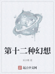 第十二種幻想 第十二種幻想