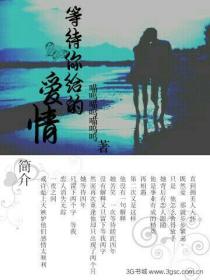 等待你給的愛情