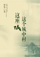 這座城，這個城中村