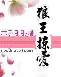 狼王掠愛