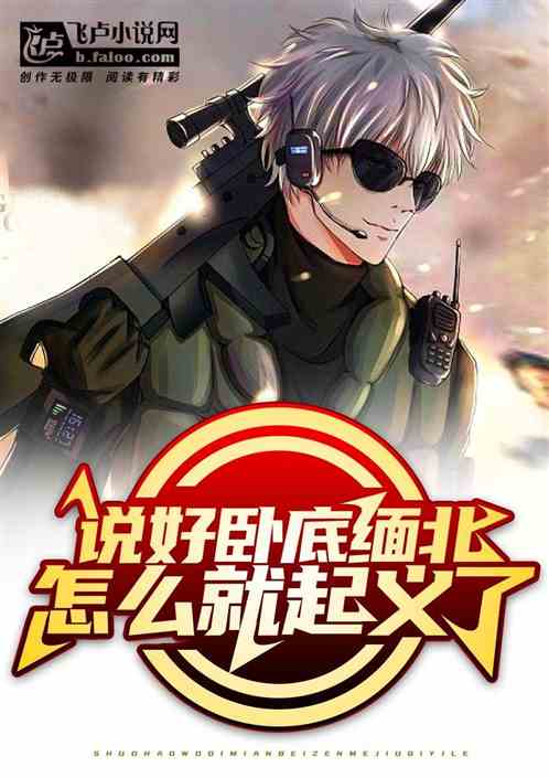 說好臥底緬北，怎麽就起義了？