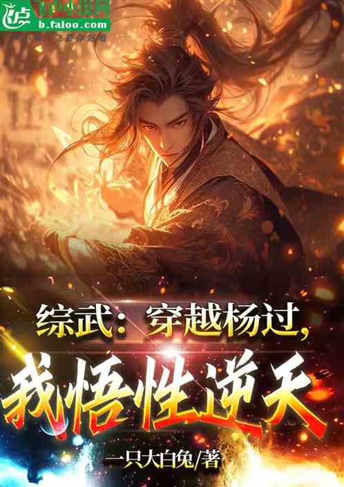 綜武：穿越楊過，我悟性逆天