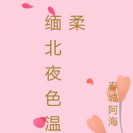 緬北夜色溫柔