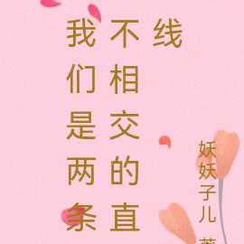 我們是兩條不相交的直線
