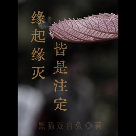 緣起緣滅，皆是注定