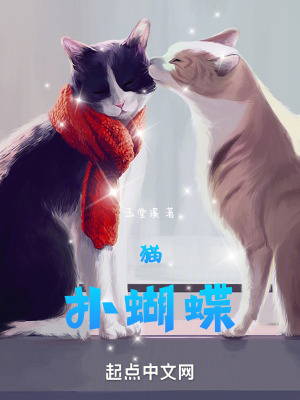 貓:撲蝴蝶 貓:撲蝴蝶